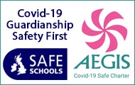 covid-19 safe guardianship